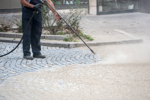 Best Pre-Holiday Cleaning  in Stonegate, CO